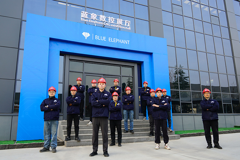 More Than 500 Professional Employees